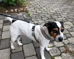 <b>Piece Xemplariska Ove</b>
<br>
Regnummer SE15575/2016