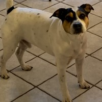 Regnummer SE 15579/2016