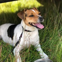 Regnummer SE 17935/2015